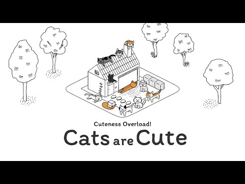 Cats are Cute Video
