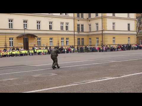 Pokaz dynamiczny 16bpd Swięto 16bpd Kraków 22.03.2019 - fragment