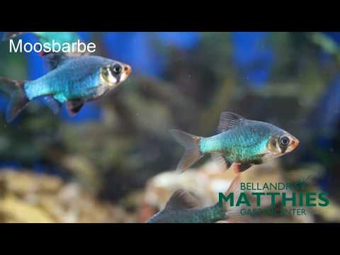 Unsere Zoo-Abteilung | Bellandris Matthies Gartencenter