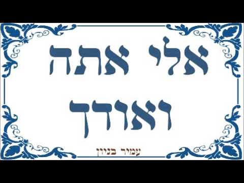 עמיר בניון