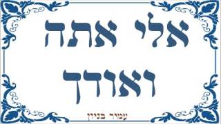 עמיר בניון