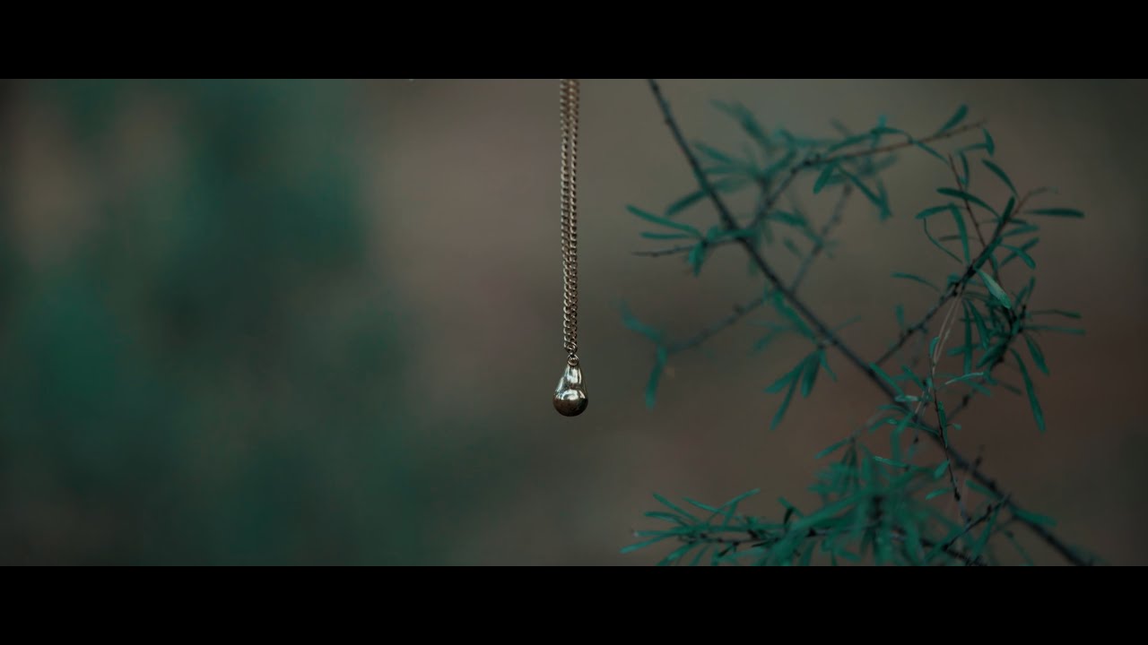 El BOSQUE DEL ECO | Teaser (04-12-24)