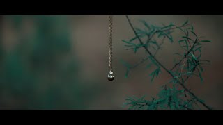 El BOSQUE DEL ECO | Teaser (04-12-24)