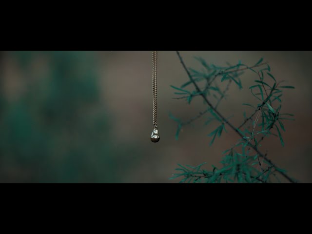 El BOSQUE DEL ECO | Teaser (04-12-24)