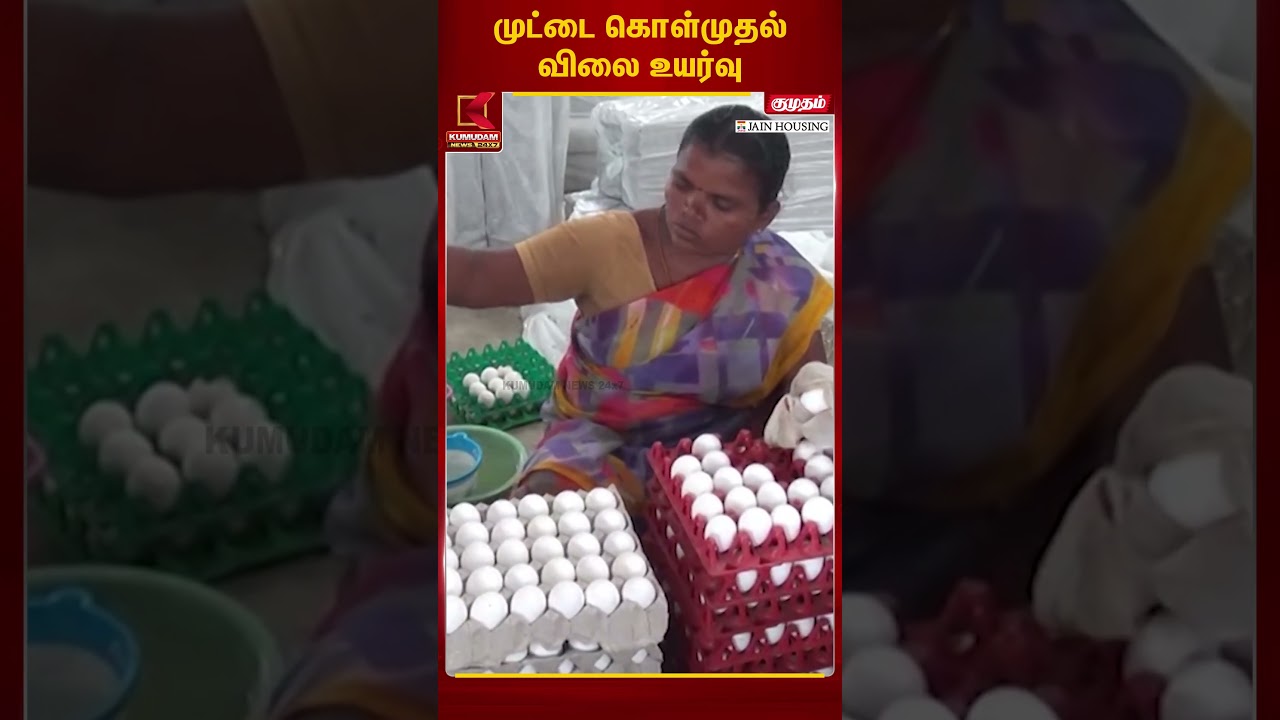 முட்டை கொள்முதல் விலை உயர்வு | Egg Price | Kumudam News