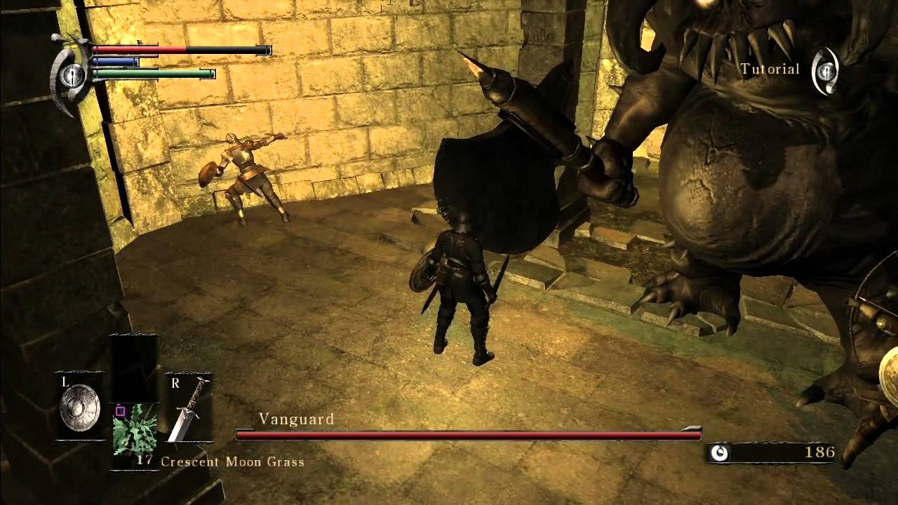 Demon's Souls - Hacked - Tutorial Ghosts Revealed
