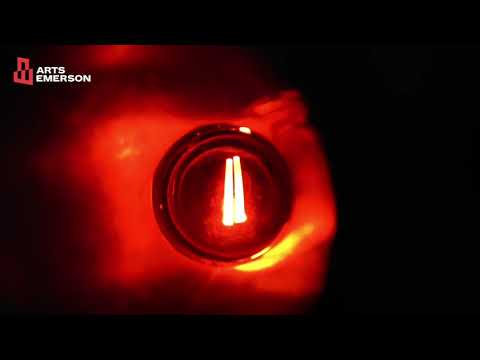 Zoo Motel - NOV 16–21, 2021