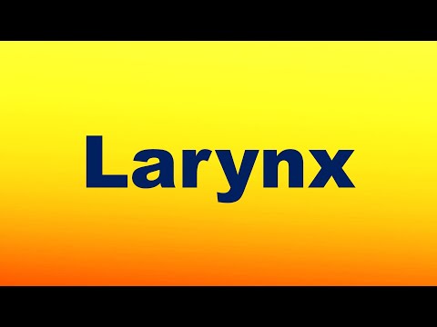 Larynx Definition and Function