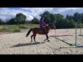 Naguini, jeune cheval prometteur ✨