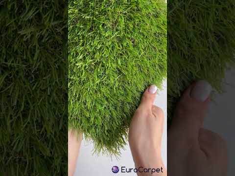 CCGrass Cam 28