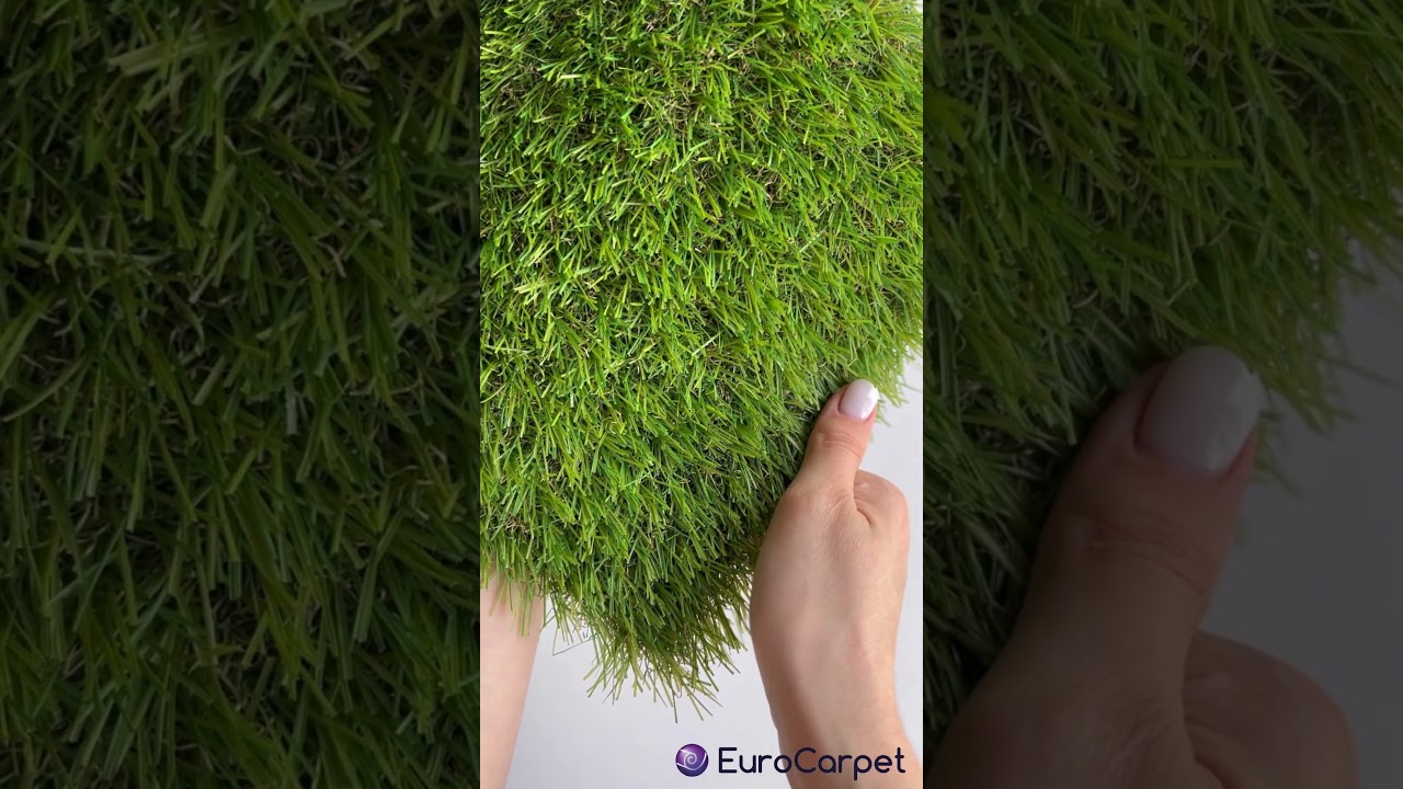 CCGrass Cam 28