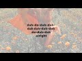 In the Summertime | Mungo Jerry | Lyrics ☾☀