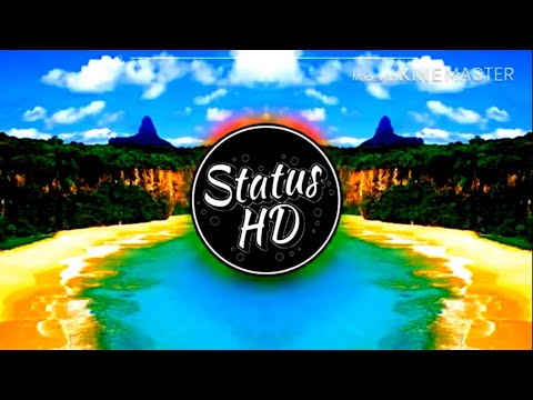 Mc Ricardinho (o novilha)