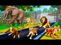 Funny Zoo Escape Adventure Animals On The Run
