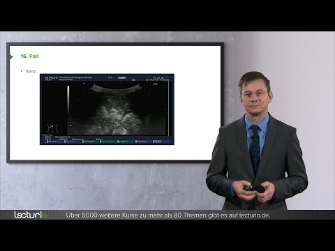 Fallbeispiele zu Dünndarmerkrankungen | Dr. Michael Hocke bei Lecturio