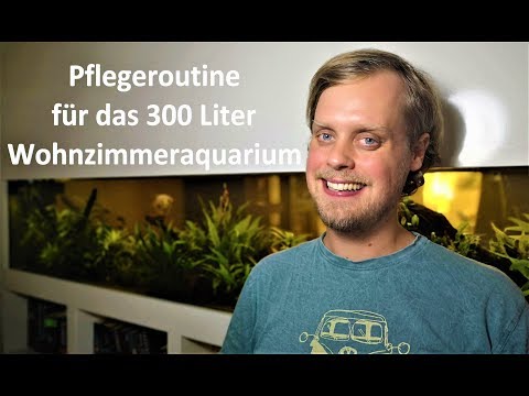 Maintenance routine for the 300-liter living room aquarium!