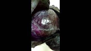 Peeling Off The Layers Getting To The Core