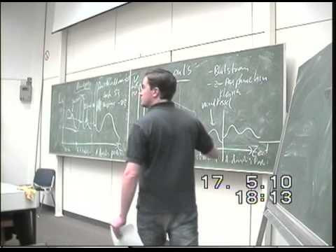 Physiologietutorium 6 - Kreislauf