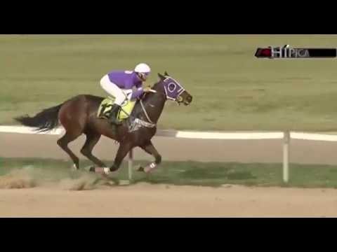 SINT PAYSANDU + HÍPICA, LO QUE PASO 6   DE MAYO DE 2017