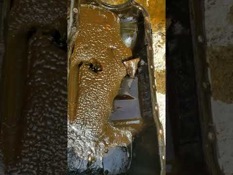 Lucas turns my oil into jello