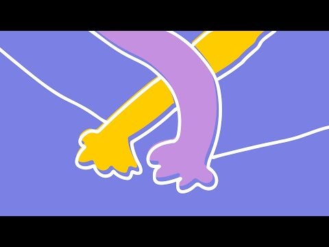 Down Here - CS50フィルム (Down Here - A CS50 Film)