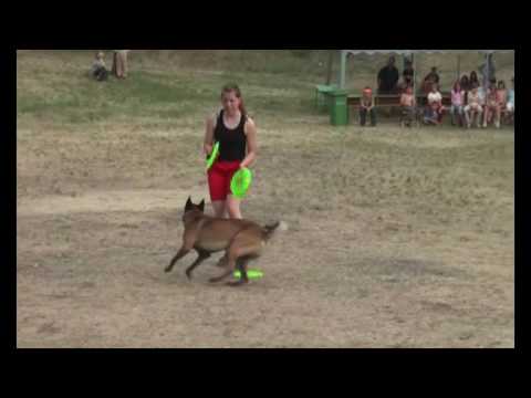 2009.05.22. Gyermeknapi frisbee bemutató - Daeron