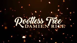 Damien Rice - Rootless Tree (Lyrics)
