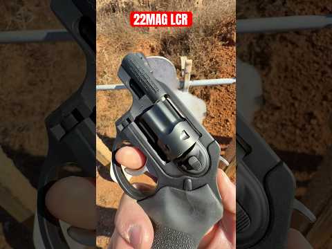 The Truth About The S\u0026W FPC: M\u0026P Folding 9mm Carbine 2000 Round Review \u0026 Extreme Conditions Test