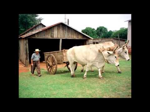 Homenagem a todos peões e boiadeiros