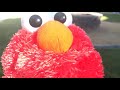 Elmo Plays But The Dogs Won T Be Quiet
