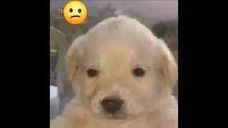 DESMONETIZARON EL CANAL :C