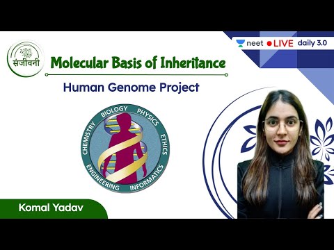 Human Genome Project | Molecular Basis of Inheritance | L10 | Unacademy NEET | Komal Yadav