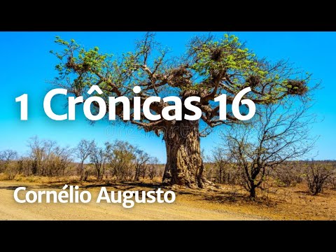 Spoken Bible | 1 Chronicles 16