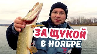 Васильсурская слобода - рыболовная база