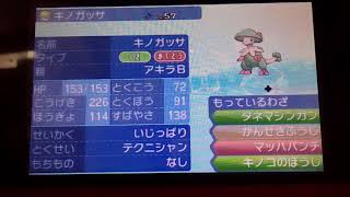 今まで育成してきたポケモン紹介2