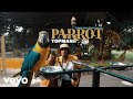 Topmann, Troublemekka - Parrot (Official Music Video)