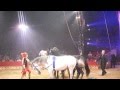Big Apple Circus 2013 Horse Act