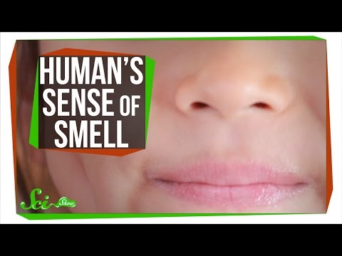 Your Sense of Smell Is Better Than You Think