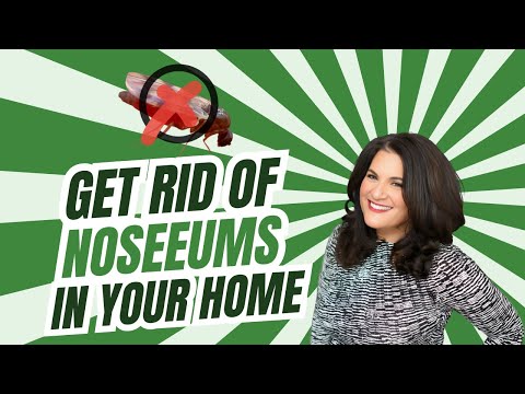 How To Get RID of NoSeeUms In Your Home