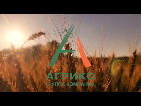 Агрико золотая нива