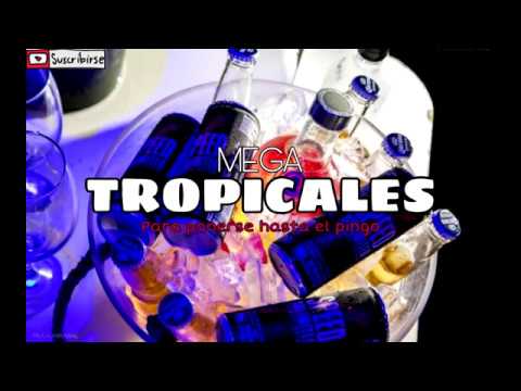TROPICALES MOLESTOS - Dj Fabri