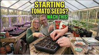 Indoor Seed Starting Finale  Week 3: Tomato Seeds, Setup & Tips