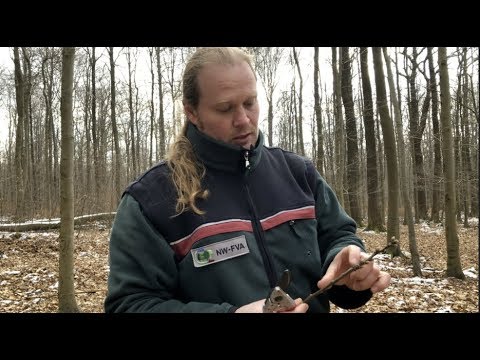 Fit für den Klimawandel