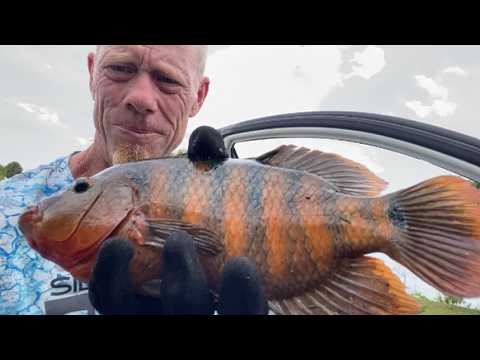 The adventure begins in Palm Beach Florida Fishing Camping EP.1 #redrabbit  #fishing #florida