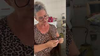 TRANS RESVERATROL GOTA AMERICANO FUNCIONA? E BOM? 🚨Cuidado! VALE A PENA? Contei A Verdade!