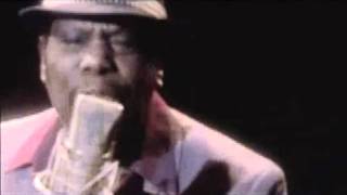 Roy Ellis - I Don't Want You, I Don't Need You Anymore