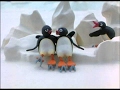 Pingu S First Kiss Pingu Official Channel