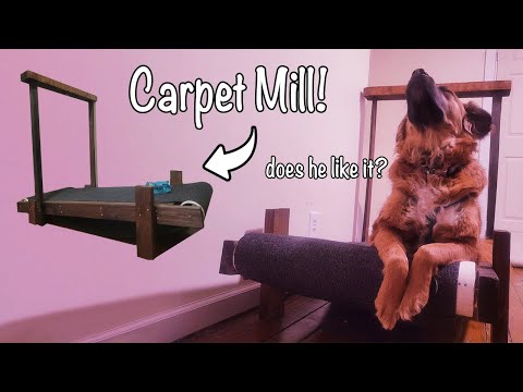 YouTube video about: How to make a dog treadmill?