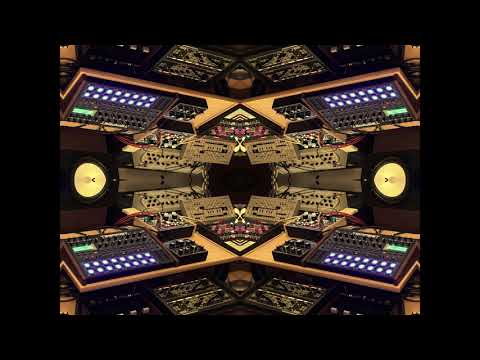 Mokka Monkey - Dr TechDub (Tripped Out)  (BENIDUB ECHO)