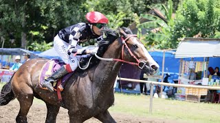 Download lagu KUDA CRAZY  RICY SETAR PALING BELANGAKANG BERHASIL JUARA 1 FINAL PACUAN KUDA AMBAL KEBUMEN  2026 mp3